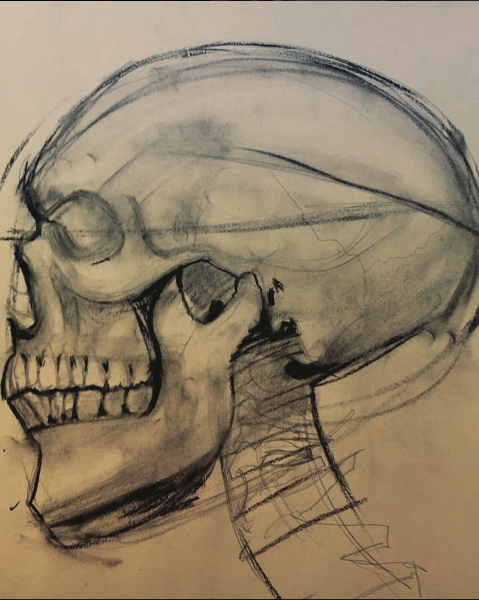 speed-skull-drawing